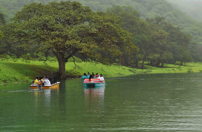 Discover the Natural Beauty of Salalah