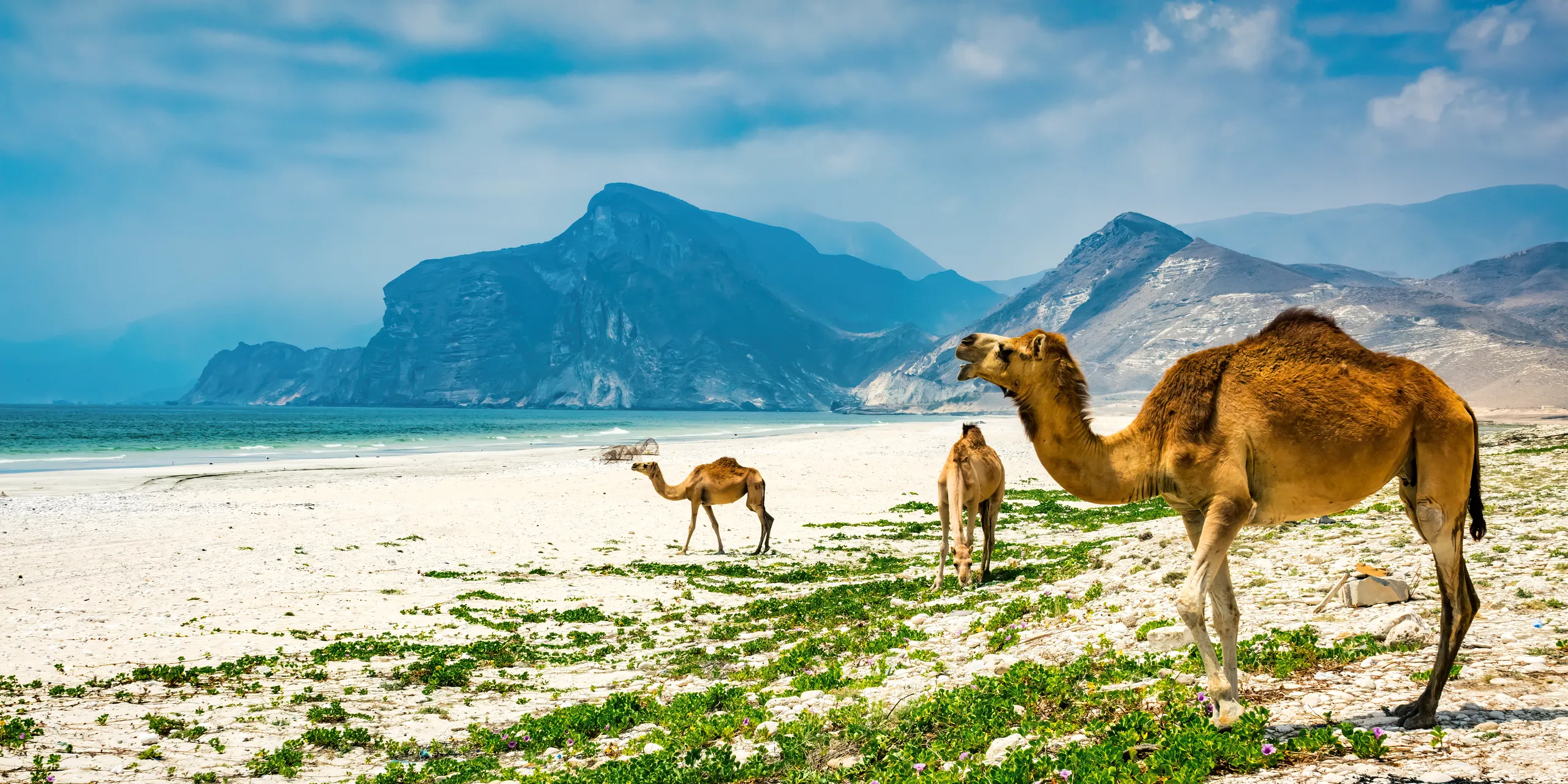 Salalah Khareef Experience